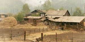 Siberian farm in June